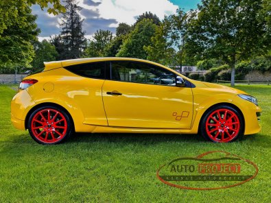 RENAULT MEGANE III COUPE 2.0 TURBO 275 RS TROPHY-R N°012 - 6