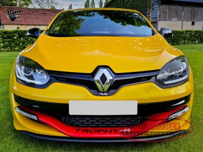 RENAULT MEGANE III COUPE 2.0 TURBO 275 RS TROPHY-R N°012 - 8