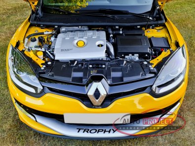 RENAULT MEGANE III COUPE 2.0 TURBO 275 RS TROPHY N°0175 - 12