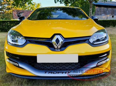 RENAULT MEGANE III COUPE 2.0 TURBO 275 RS TROPHY N°0175 - 8