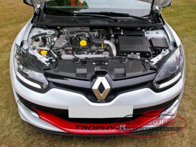 RENAULT MEGANE III COUPE 2.0 TURBO 275 RS TROPHY-R N&deg;068 - 12