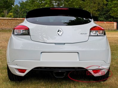 RENAULT MEGANE III COUPE 2.0 TURBO 275 RS TROPHY-R N&deg;068 - 4